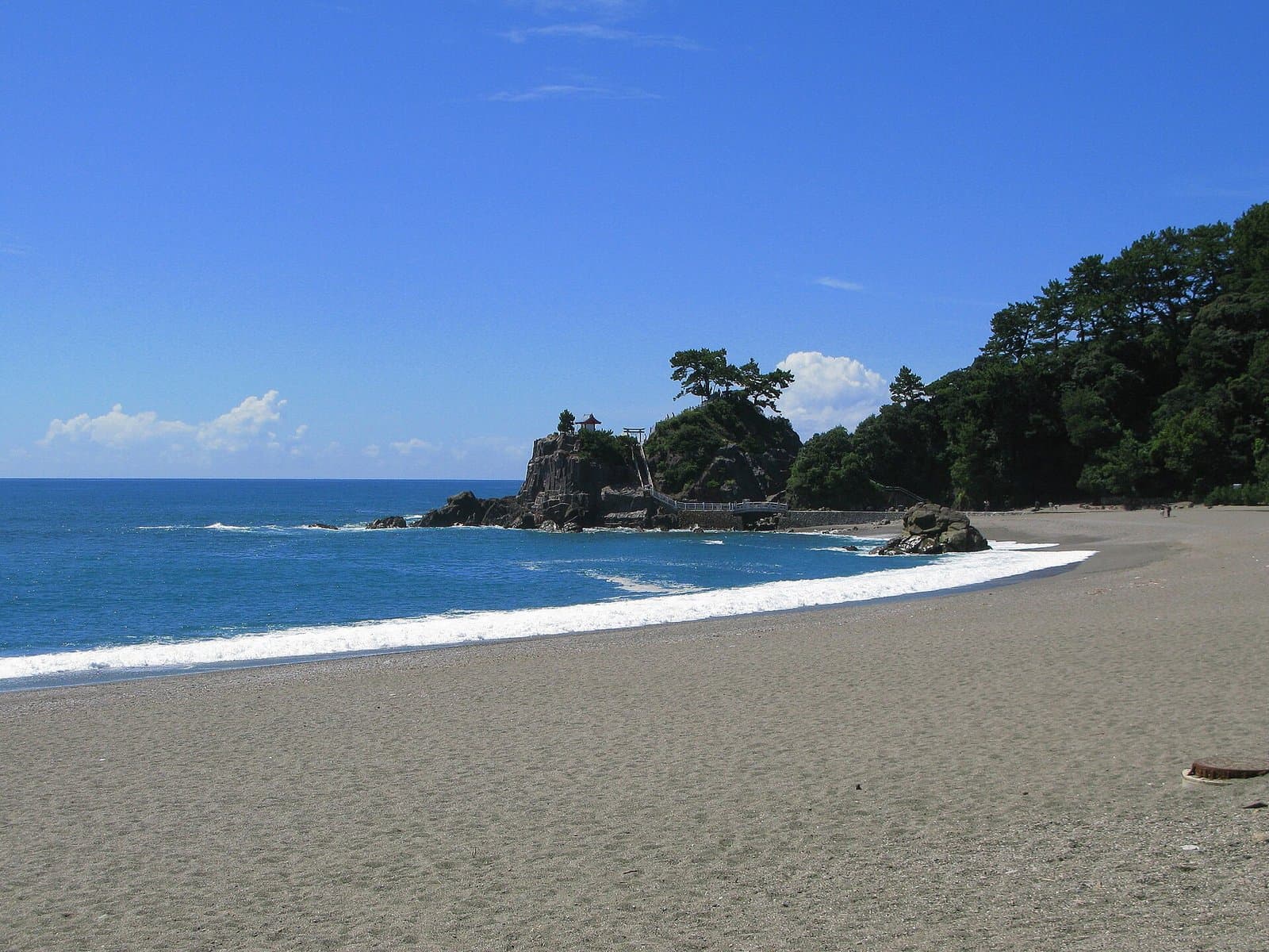 A curving sandy beach with white surf and a pine-topped rocky point